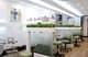 Slider image (7) SKY Dental Clinic